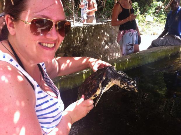 Holding onto a baby turtle (or at least a one year old)