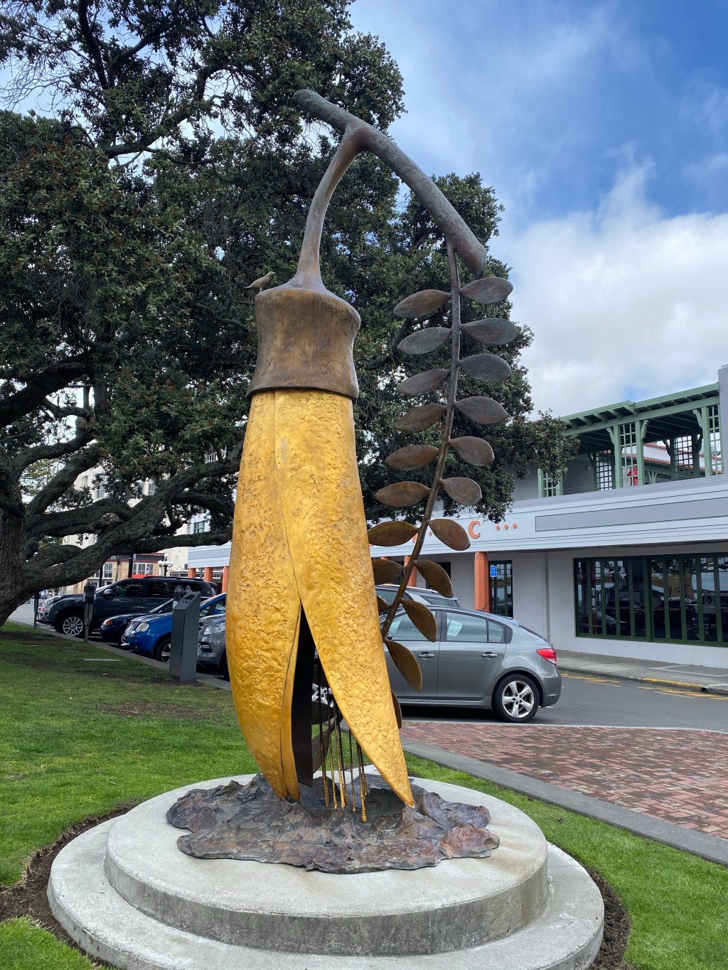 Van tour around New Zealand’s North Island – day one and two